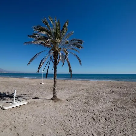 Moonkey - Estudio Las Lanzas El Campello Exterior photo