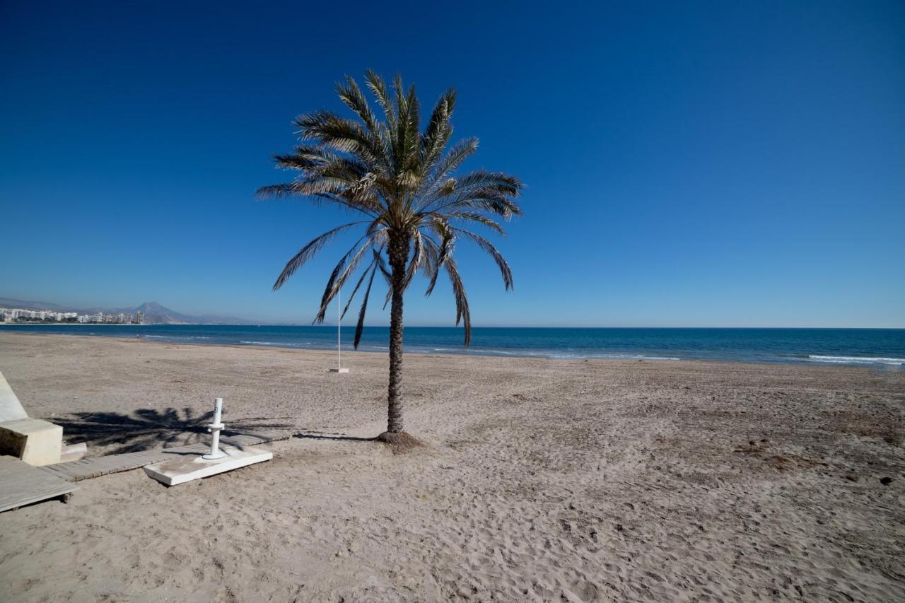 Moonkey - Estudio Lanzas El Campello